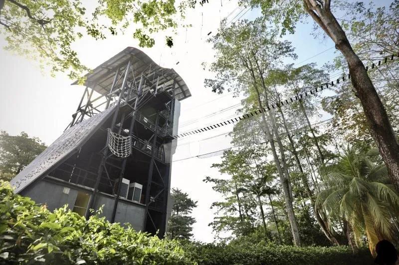 提供建筑专业的公立院校：新加坡建筑管理学院（BCA）